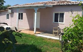 The Little Oasis Villa